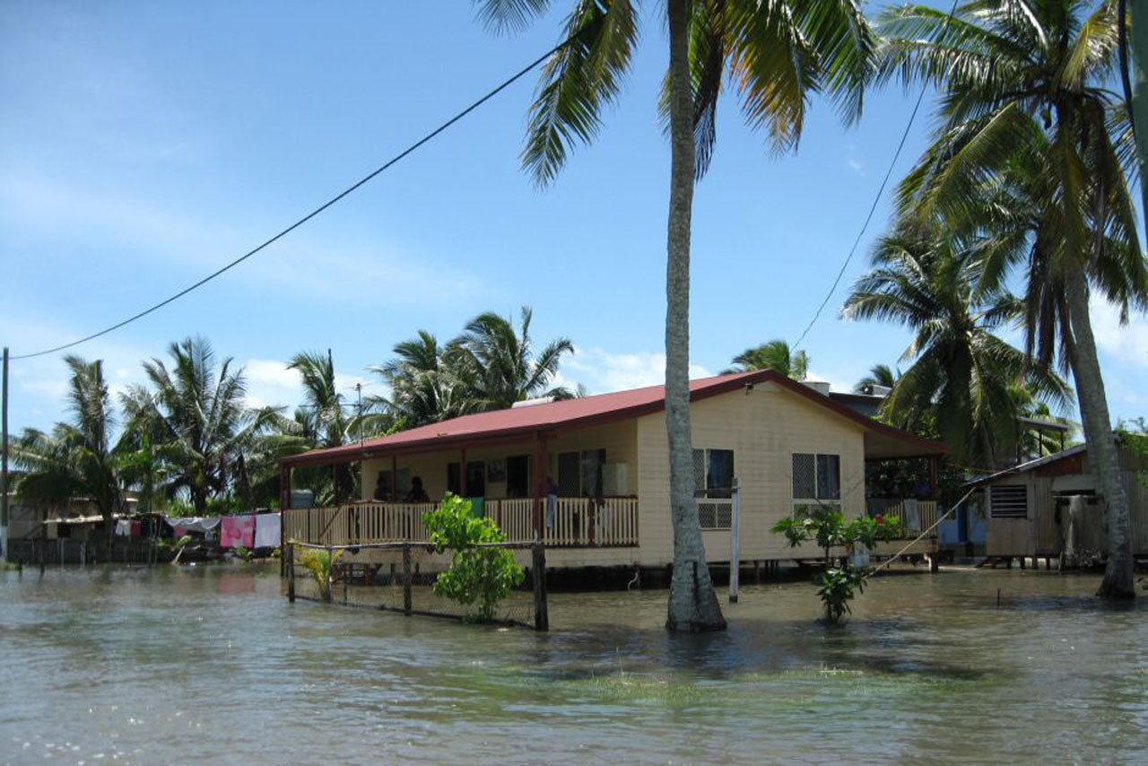 Torres Strait Islanders' Landmark Environmental Case