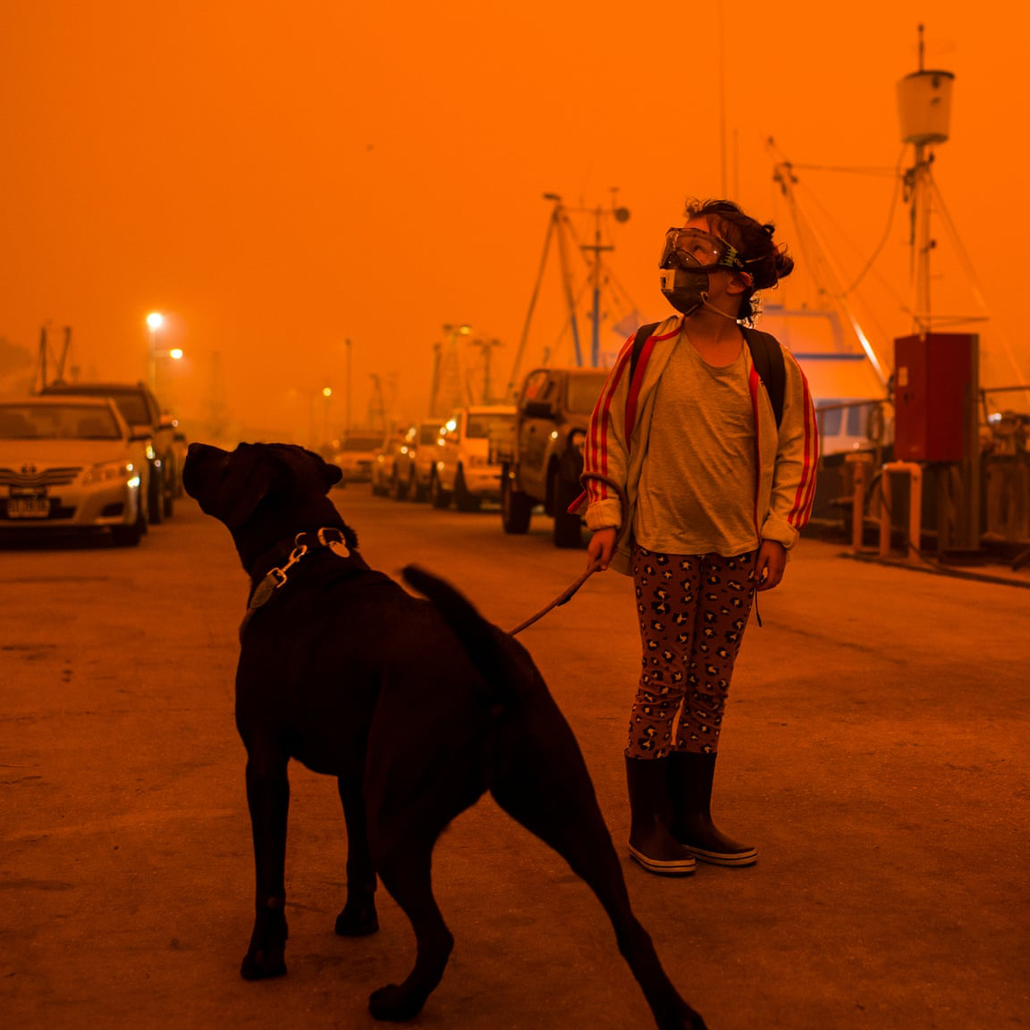 Raising Funds for Bushfire Affected Communities