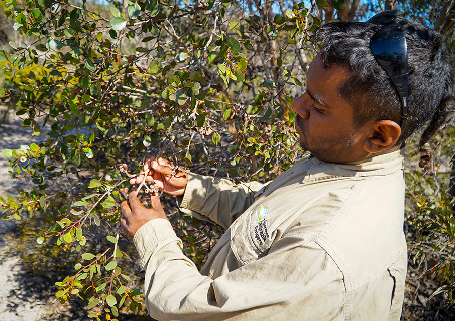 Helping to Heal Noongar Country